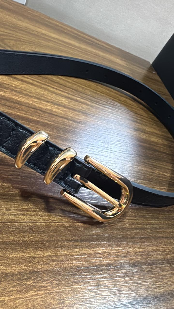 Cintos Diversos Fivela Metal - R$20